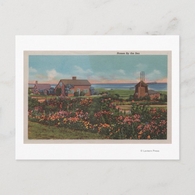 Cape Cod, MassachusettsWohnungen mit Meerblick Postkarte (Vorderseite)