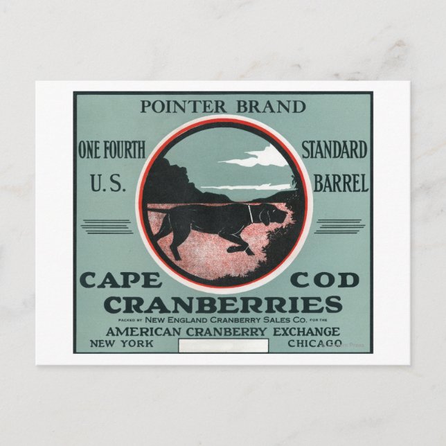 Cape Cod Pointer Markenbezeichnungen Cranberry Lab Postkarte (Vorderseite)