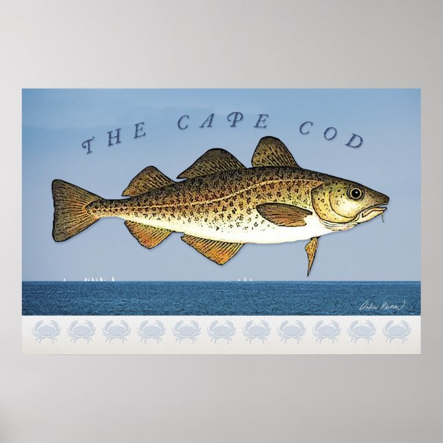 Cape Cod Poster (Vorne)