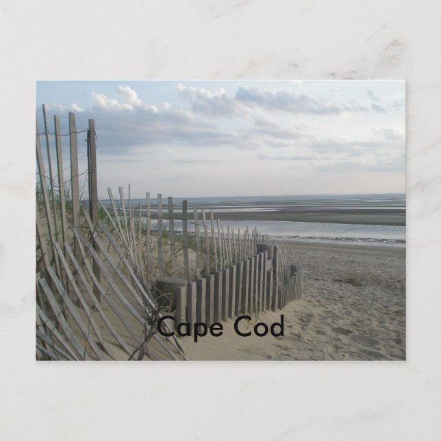 Cape Cod Postkarte (Vorderseite)
