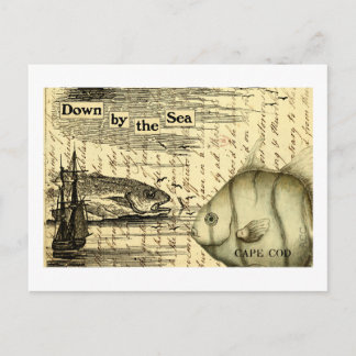 Cape Cod Postkarte