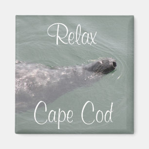Cape Cod, Relax Robben schwebend Magnet