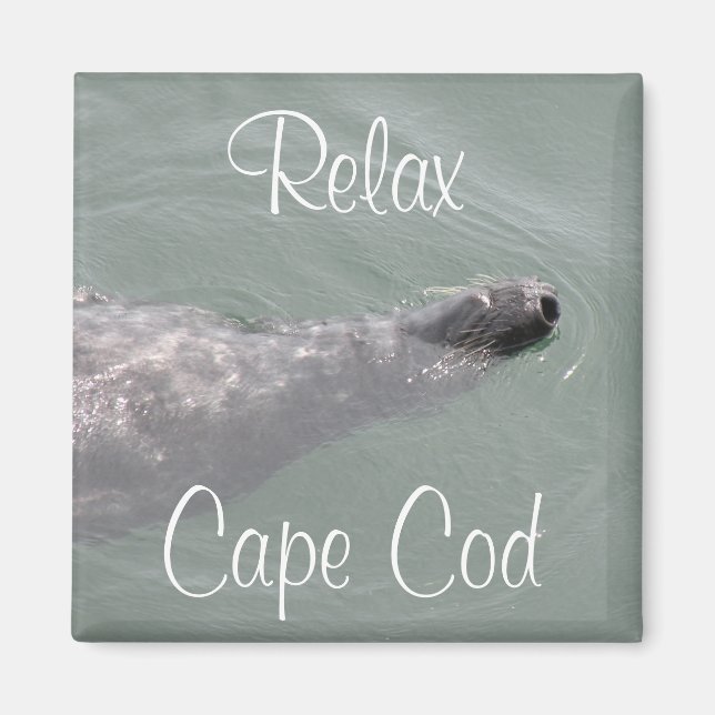 Cape Cod, Relax Robben schwebend Magnet (Vorne)