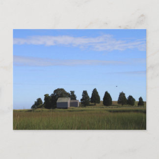Cape Cod Salt Marsh Postkarte