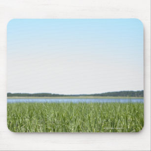 Cape Cod-Sumpf Mousepad