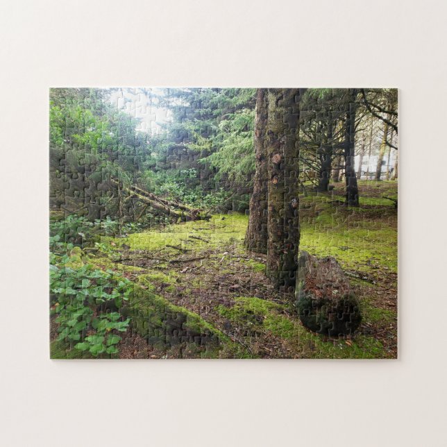 Cape Disappointment Camp Pacific Northwest Forest (Horizontal)