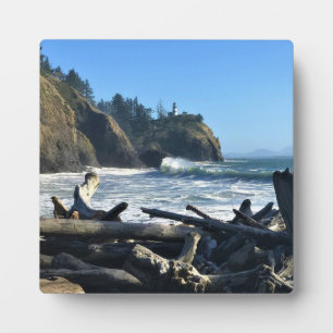 Cape Enttäuschung Lighthouse, Washington Fotoplatte