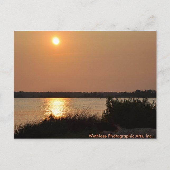 Cape Fear River Postkarte (Vorderseite)