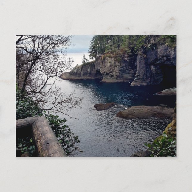 Cape Flattery Olympische Halbinsel - Washington Postkarte (Vorderseite)