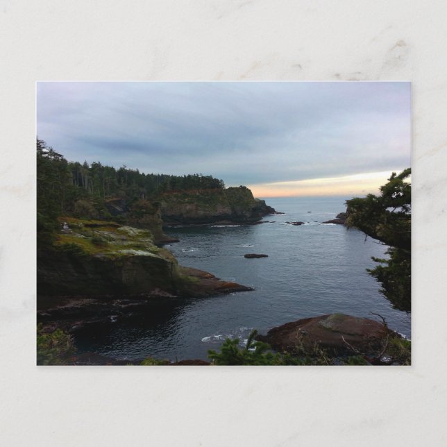 Cape Flattery Olympische Halbinsel - Washington Postkarte (Vorderseite)