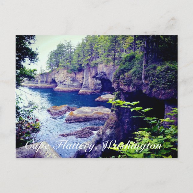 Cape Flattery Postkarte (Vorderseite)