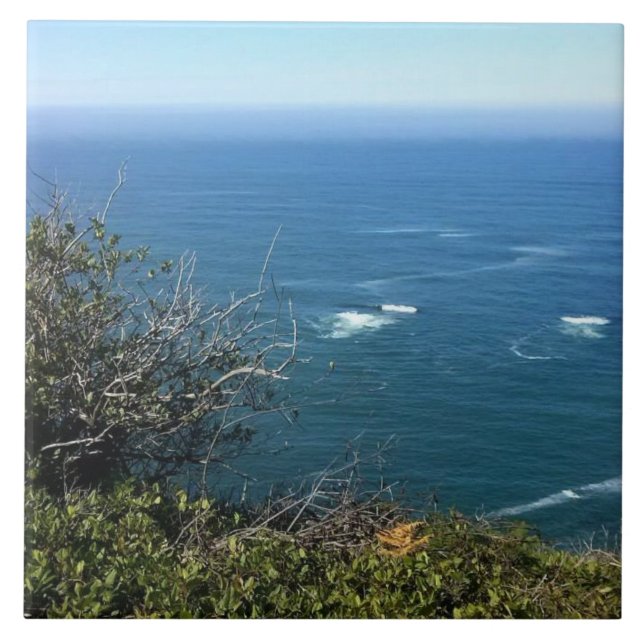 Cape Foulweather, Oregon Fliese (Vorderseite)
