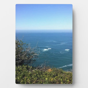 Cape Foulweather, Oregon Fotoplatte