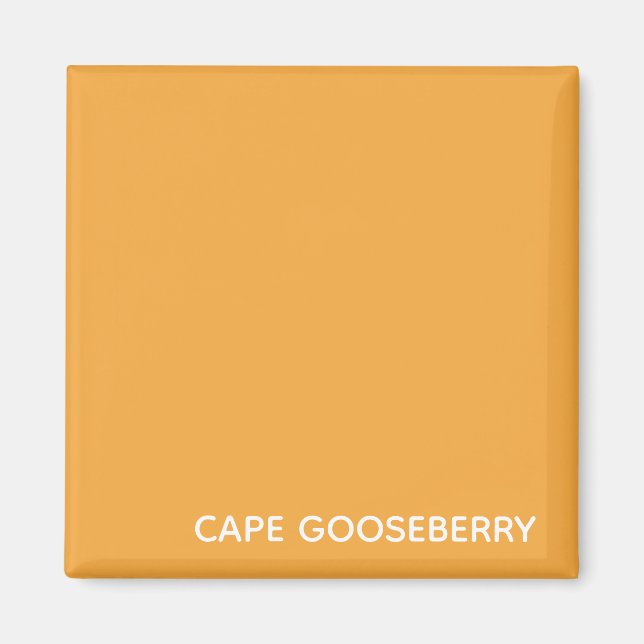 Cape Gooseberry yellow color name Magnet (Vorne)