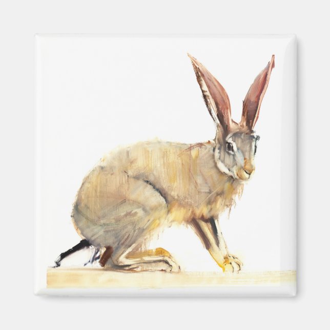 Cape Hare 2010 2 Magnet (Vorne)
