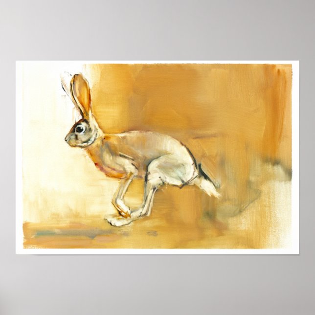 Cape Hare 2010 Poster (Vorne)