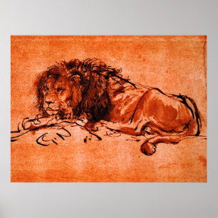 CAPE LÖWE LIEGT von Rembrandt Orange Schwarz  Poster