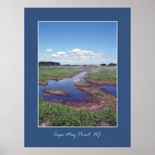 Cape May Point Poster (Vorne)