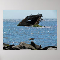 Cape May Shipwreck