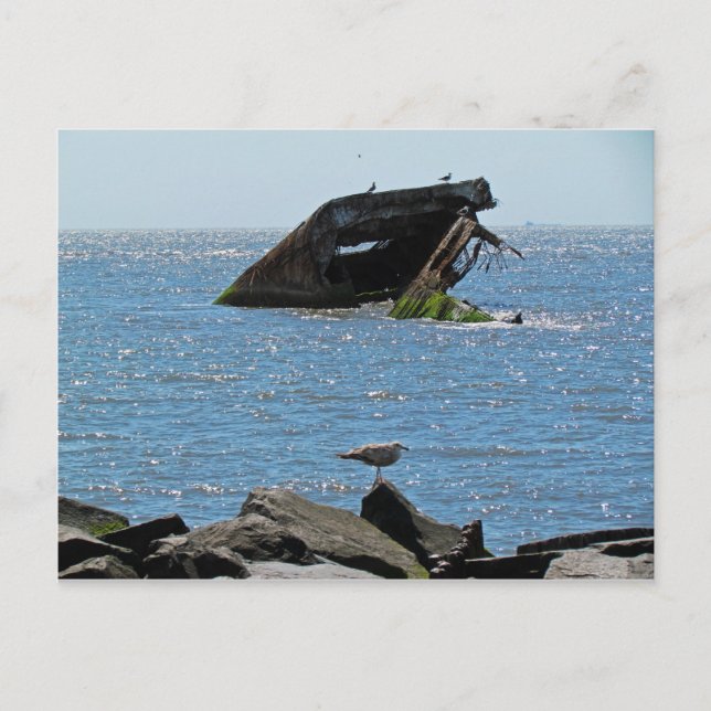 Cape May Shipwreck Postkarte (Vorderseite)