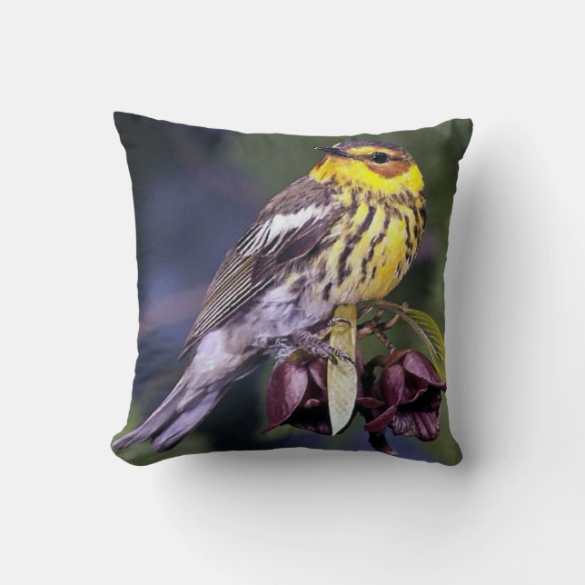 Cape May Warbler Bird Liebhaber Geschenke Kissen (Vorderseite)