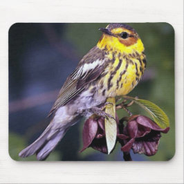 Cape May Warbler Bird Liebhaber Geschenke Mousepad