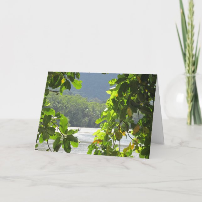 Cape Tribulation Folded Card Karte (Vorderseite)