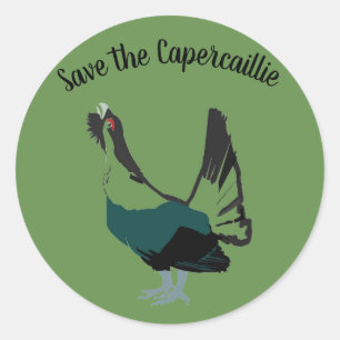 Capercaillie Vogel Art Round Sticker, glänzend Runder Aufkleber
