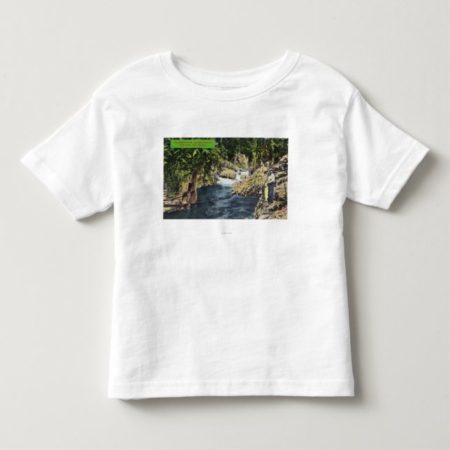 Capilano Schlucht-Ansicht des Lachspools Kleinkind T-shirt (Vorderseite)