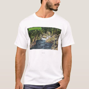 Capilano Schlucht-Ansicht des Lachspools T-Shirt