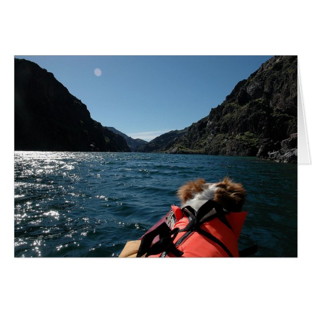 Capitaine Brit (Devant horizontal)