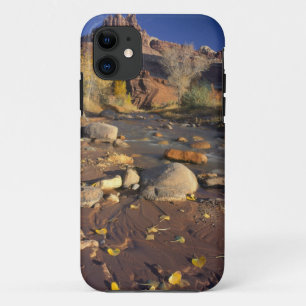 CAPITOL REEF NATIONAL PARK, UT, US, Baumwollbaum iPhone 11 Hülle