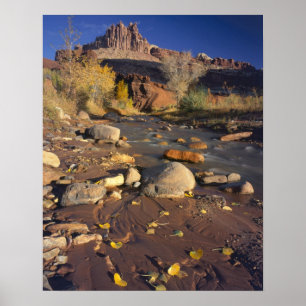 CAPITOL REEF NATIONAL PARK, UT, US, Cottonwood Poster