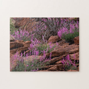 Capitol Reef National Park, Utah, USA