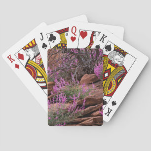 Capitol Reef National Park, Utah, USA Spielkarten