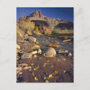 CAPITOL REEF NATIONALPARK, UT, US, Cottonwood Postkarte
