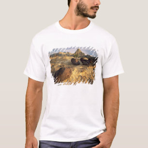 CAPITOL REEF NATIONALPARK, UTAH. USA. T-Shirt