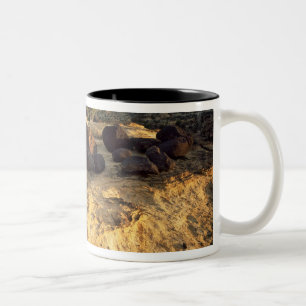CAPITOL REEF NATIONALPARK, UTAH. USA. ZWEIFARBIGE TASSE