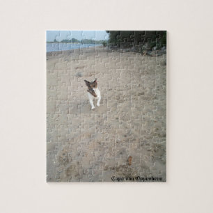 Capo von Oppenheim, Jack Russell Terrier Dog