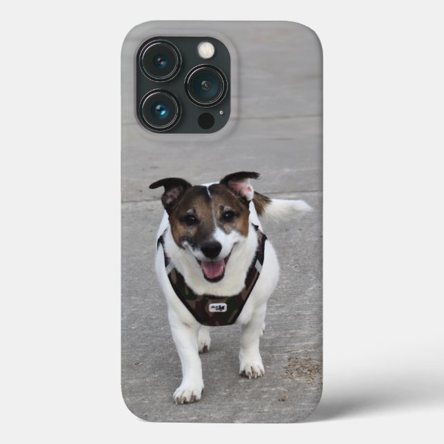 Capo von Oppenheim, Jack Russell Terrier Dog Case-Mate iPhone Hülle (Rückseite)