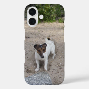 Capo von Oppenheim Jack Russell Terrier, Dog iPhone 16 Hülle