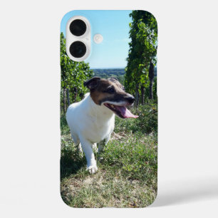 Capo von Oppenheim Jack Russell Terrier, Dog iPhone 16 Plus Hülle