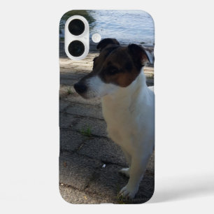 Capo von Oppenheim Jack Russell Terrier, Dog iPhone 16 Plus Hülle