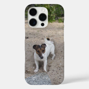 Capo von Oppenheim Jack Russell Terrier, Dog iPhone 16 Pro Hülle