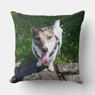 Capo von Oppenheim, Jack Russell Terrier Dog Kissen