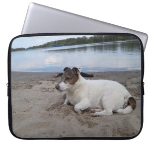 Capo von Oppenheim Jack Russell Terrier, Dog Laptopschutzhülle