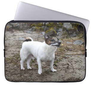 Capo von Oppenheim Jack Russell Terrier, Dog Laptopschutzhülle