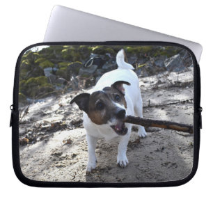 Capo von Oppenheim Jack Russell Terrier, Dog Laptopschutzhülle