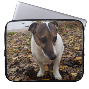 Capo von Oppenheim Jack Russell Terrier, Dog Laptopschutzhülle