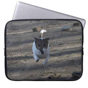 Capo von Oppenheim Jack Russell Terrier, Dog Laptopschutzhülle